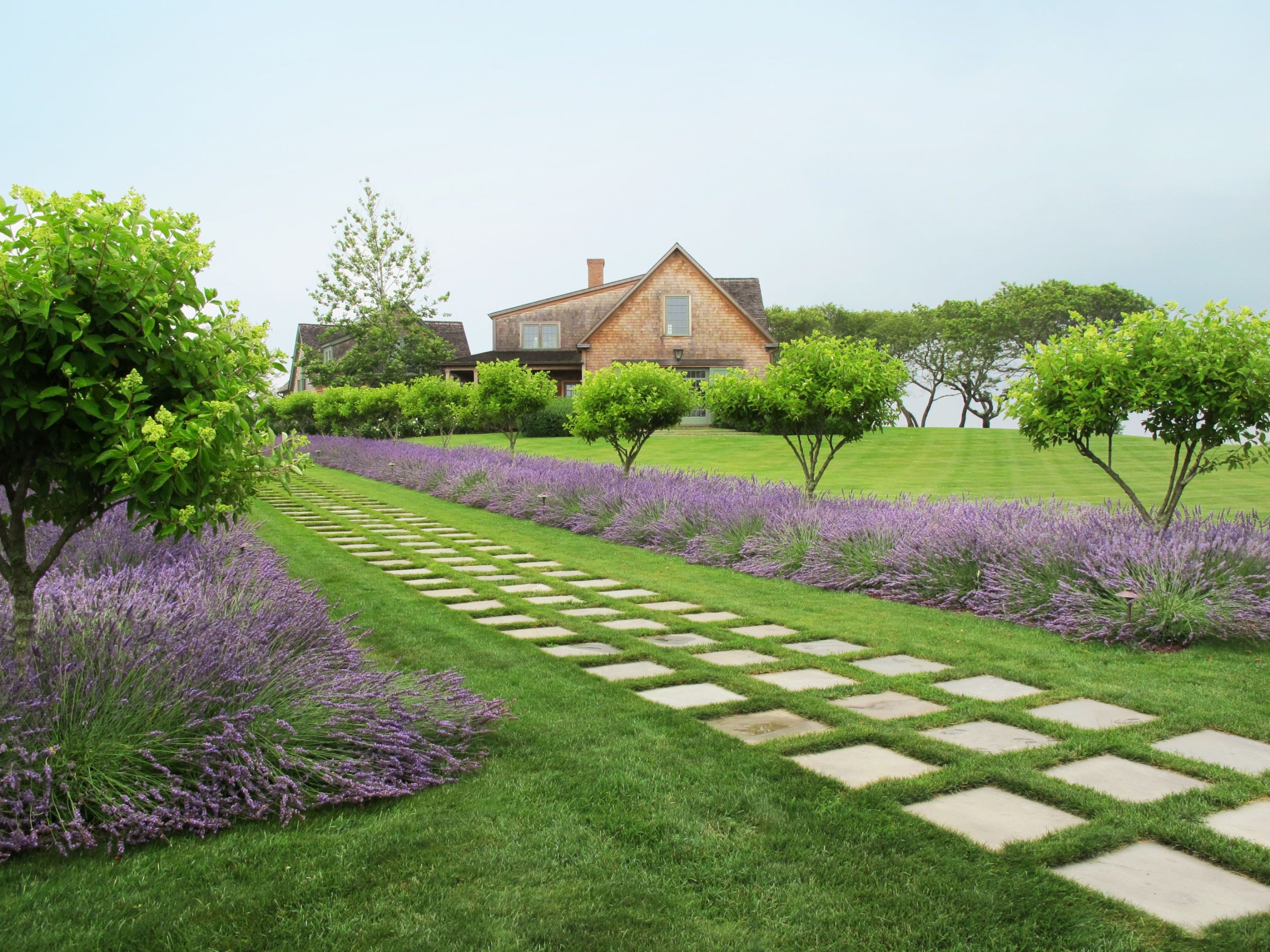 landscaping4